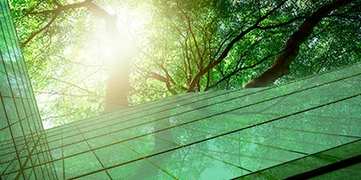 Building green with tree and sunlight